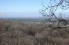 Panoráma