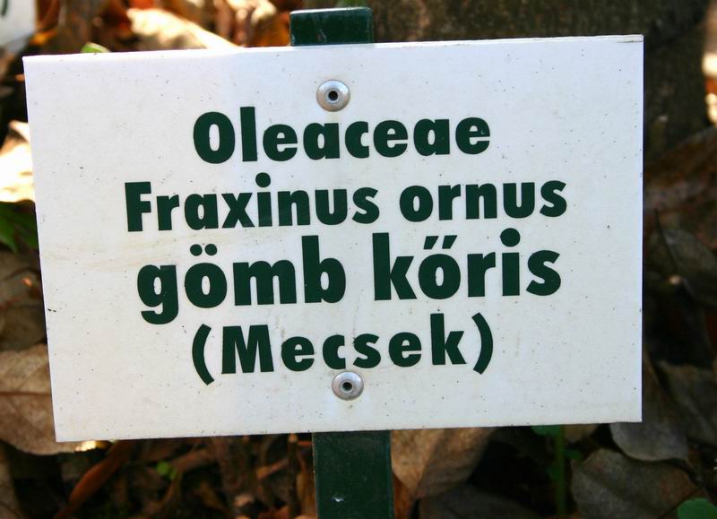 Ablak bezárása